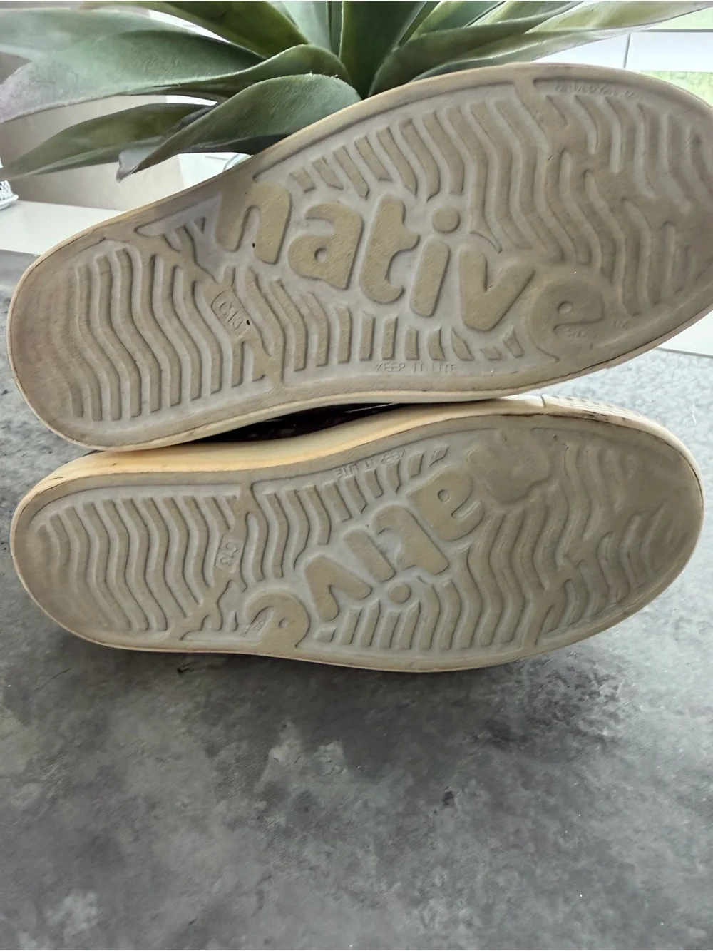 Native Slip-On Sneakers in Cream/Beige